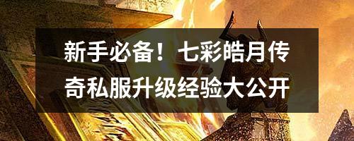 新手必备!七彩皓月传奇私服升级经验大公开